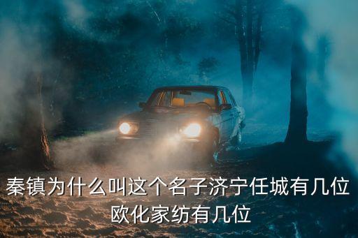 秦鎮(zhèn)為什么叫這個(gè)名子濟(jì)寧任城有幾位 歐化家紡有幾位