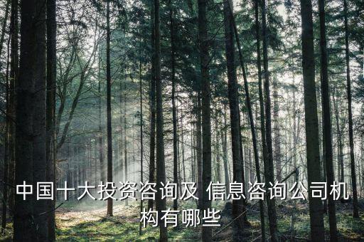 中國(guó)十大投資咨詢及 信息咨詢公司機(jī)構(gòu)有哪些