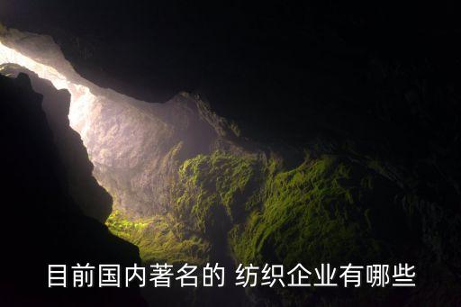 目前國內(nèi)著名的 紡織企業(yè)有哪些