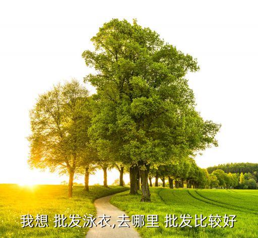 我想 批發(fā)泳衣,去哪里 批發(fā)比較好