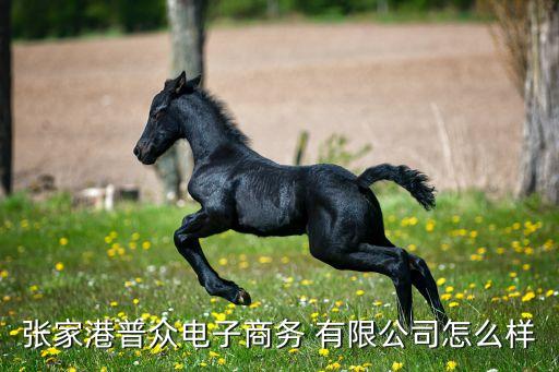 張家港普眾電子商務 有限公司怎么樣