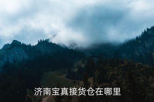  濟南寶真接貨倉在哪里