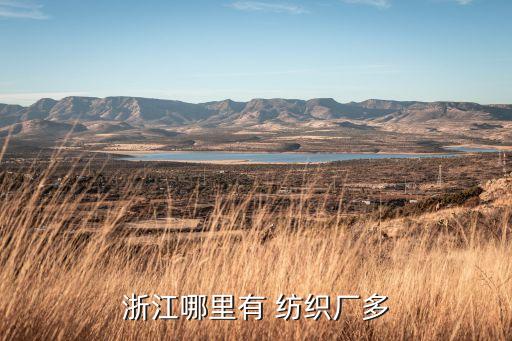浙江哪里有 紡織廠多
