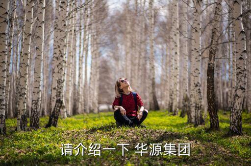 請介紹一下 華源集團