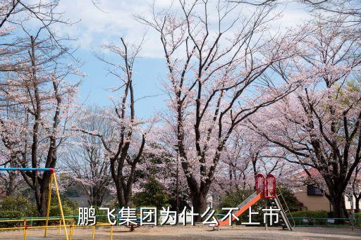 鵬飛集團(tuán)為什么不上市