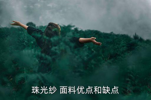 珠光紗 面料優(yōu)點(diǎn)和缺點(diǎn)
