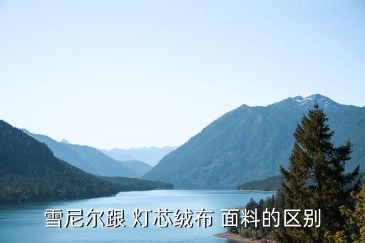 燈芯絨面料 供應(yīng)商,雪尼爾是燈芯絨面料嗎