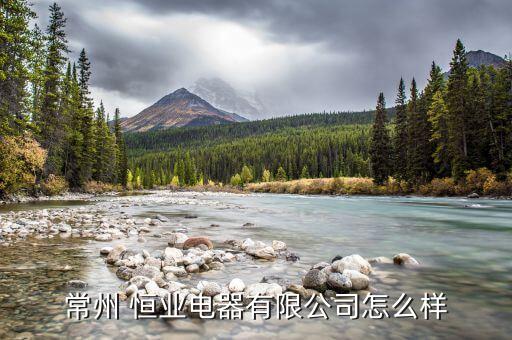 常州 恒業(yè)電器有限公司怎么樣