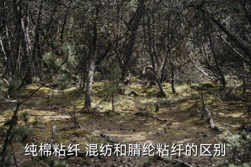 純棉粘纖 混紡和腈綸粘纖的區(qū)別