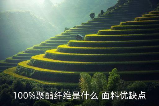 100%聚酯纖維是什么 面料優(yōu)缺點