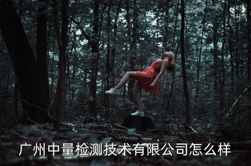 廣州中量檢測(cè)技術(shù)有限公司怎么樣