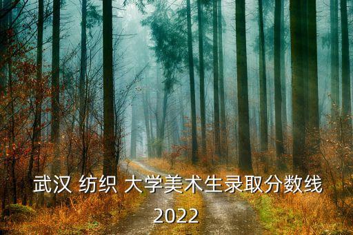  武漢 紡織 大學(xué)美術(shù)生錄取分?jǐn)?shù)線2022