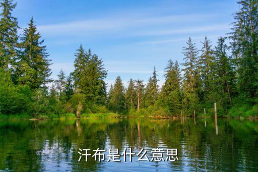 汗布是什么意思