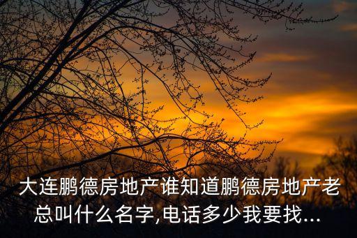  大連鵬德房地產(chǎn)誰知道鵬德房地產(chǎn)老總叫什么名字,電話多少我要找...