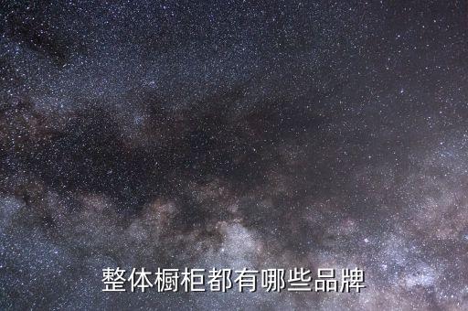 整體櫥柜都有哪些品牌
