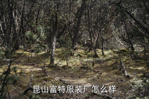 昆山富特服裝廠怎么樣