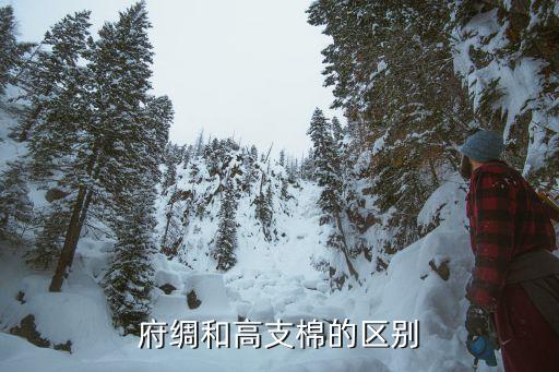 山東 棉紡織 優(yōu)勢,在新疆發(fā)展棉紡織業(yè)的優(yōu)勢