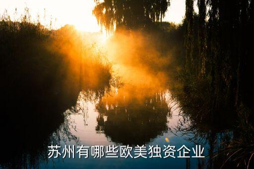 蘇州有哪些歐美獨(dú)資企業(yè)