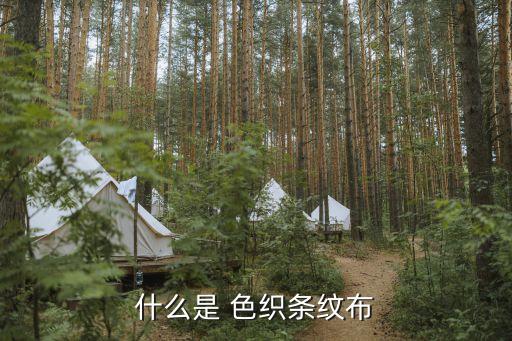 色織面料的優(yōu)點(diǎn),色織提花是什么面料