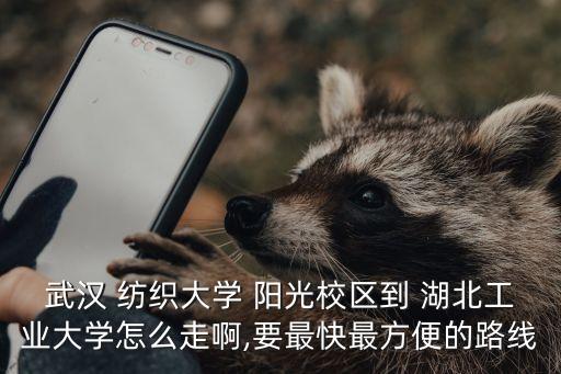 武漢 紡織大學 陽光校區(qū)到 湖北工業(yè)大學怎么走啊,要最快最方便的路線