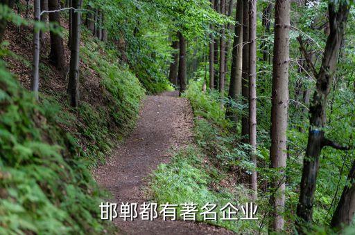 邯鄲都有著名企業(yè)