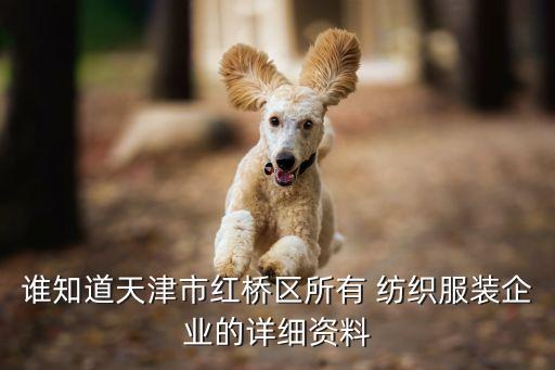 趙縣大豐紡織有限公司,天虹大豐(鹽城)紡織有限公司