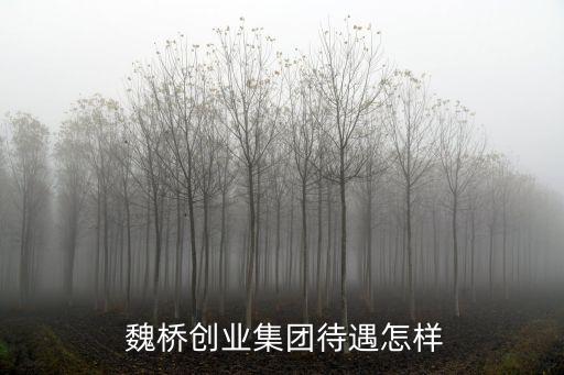魏橋紡織 股票,威海魏橋紡織有限公司