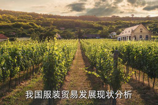 我國服裝貿(mào)易發(fā)展現(xiàn)狀分析