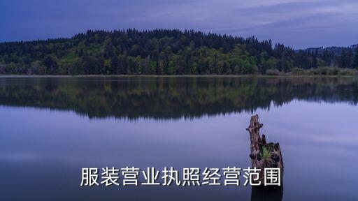 服裝公司進(jìn)面料 加工,代加工服裝公司簡(jiǎn)介怎么寫(xiě)