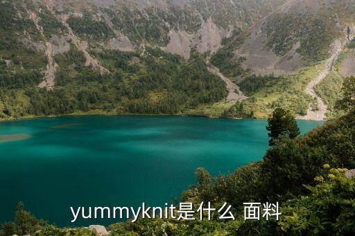 yummyknit是什么 面料