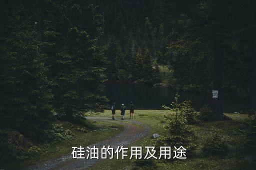 紡織 硅油