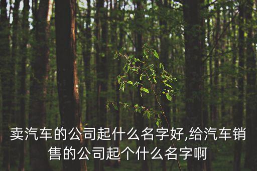 賣汽車的公司起什么名字好,給汽車銷售的公司起個什么名字啊