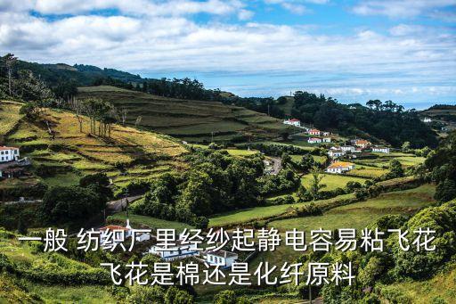 一般 紡織廠里經(jīng)紗起靜電容易粘飛花飛花是棉還是化纖原料