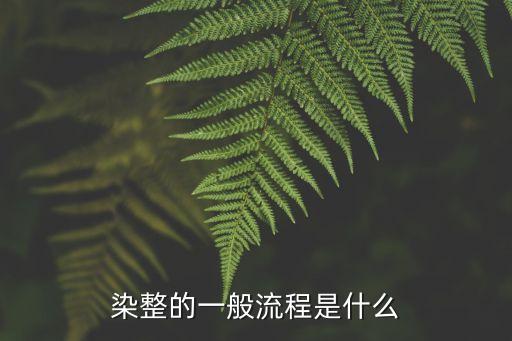 染整的一般流程是什么
