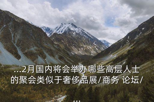 ...2月國內(nèi)將會舉辦哪些高層人士的聚會類似于奢侈品展/商務 論壇/...