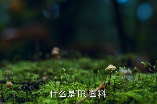 什么是TR 面料