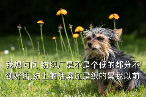 我想問問 紡織廠是不是個低的都分不到好活,紡上的活累還是織的累我以前...
