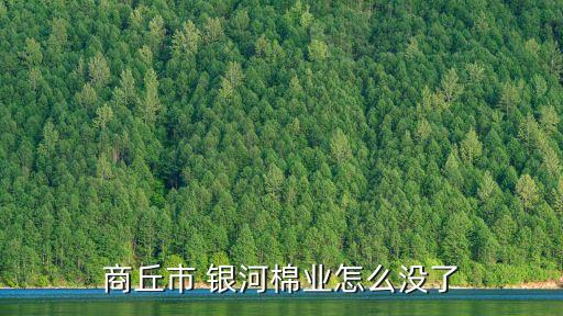 商丘市 銀河棉業(yè)怎么沒了
