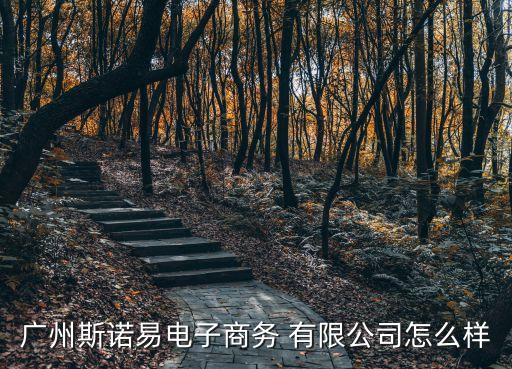 廣州斯諾易電子商務(wù) 有限公司怎么樣