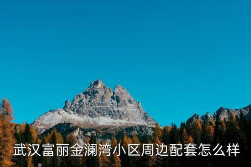 武漢富麗金瀾灣小區(qū)周邊配套怎么樣