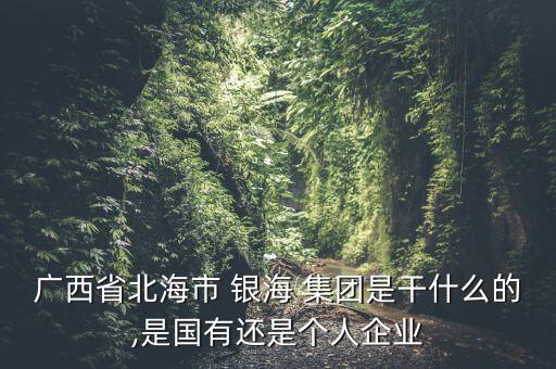 廣西省北海市 銀海 集團(tuán)是干什么的,是國有還是個人企業(yè)