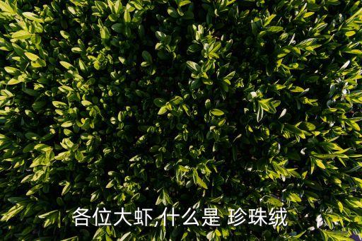 各位大蝦,什么是 珍珠絨