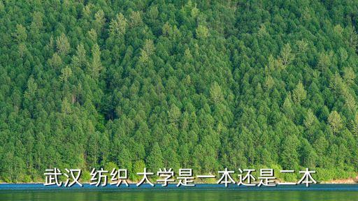 武漢紡織大學學校圖片
