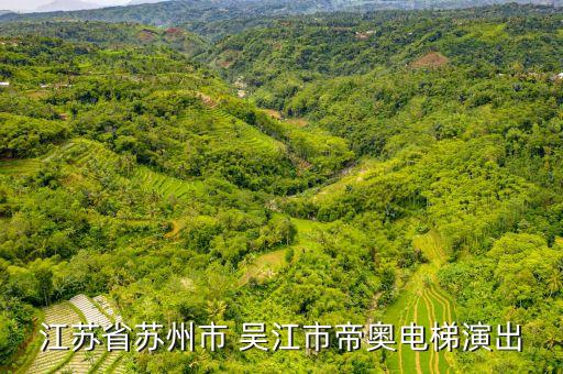 江蘇省蘇州市 吳江市帝奧電梯演出