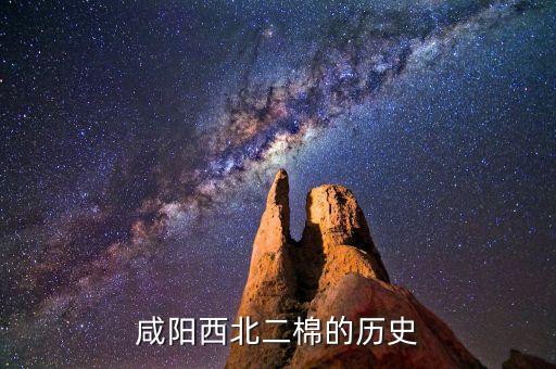 二棉紡織,福建二棉紡織集團(tuán)怎么樣