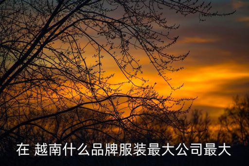 在 越南什么品牌服裝最大公司最大