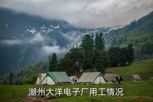 湖州大洋電子廠用工情況