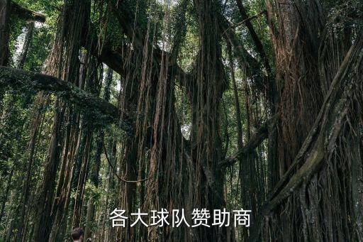 各大球隊贊助商