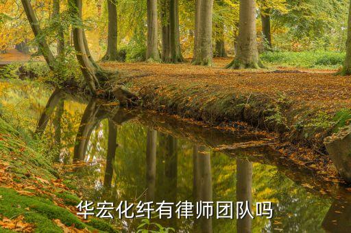 華宏化纖有律師團(tuán)隊(duì)嗎