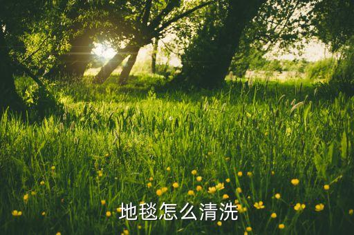 二手地毯紡織機(jī),地毯紡織機(jī)的操作方法視頻